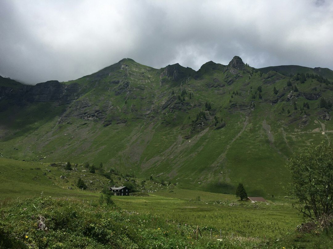 swiss alps mountain range