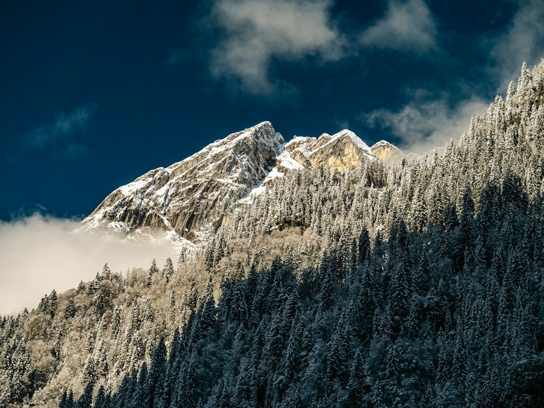 mysterious alpine depths